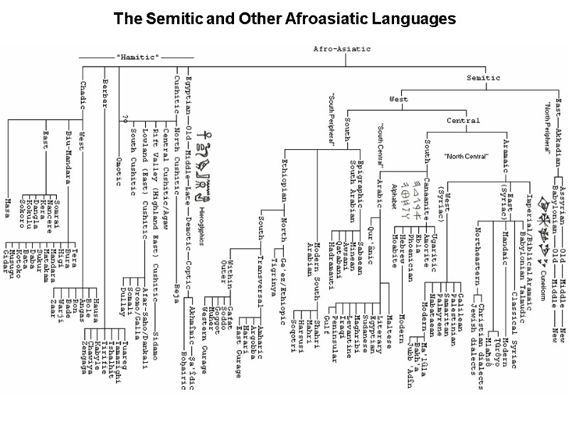 The Semitic and Other Afroasiatic Languages